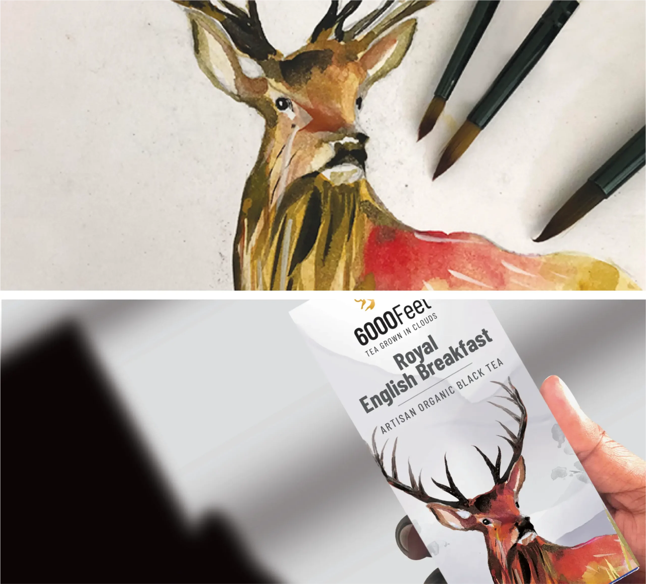 A creative deer design representing visual brilliance