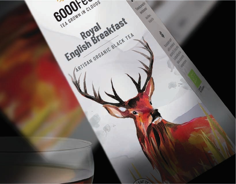 Client: Econutrena - Coconut Product Exporter