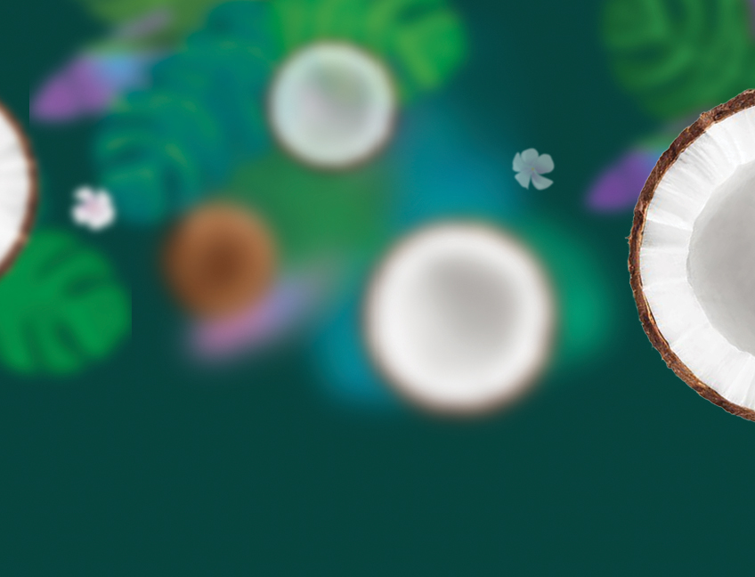 Client: Econutrena - Coconut Product Exporter